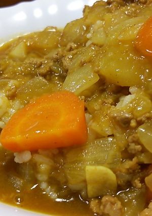 フツーのカレー♪-レシピのメイン写真