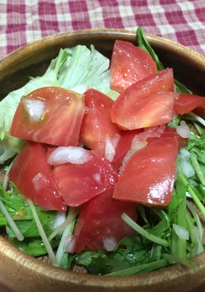 爽やかトマトサラダ-レシピのメイン写真