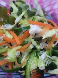 きゅうりとワカメの酢の物-レシピのメイン写真