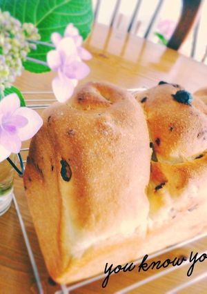 幸せの黄色いパン♡蜂蜜レーズン食パン♪-レシピのメイン写真