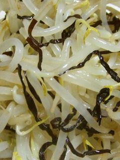 たっぷり食べたい★モヤシの塩昆布和え♪-レシピのメイン写真