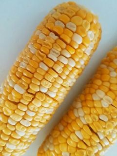 【超簡単&経済的】蒸しトウモロコシ-レシピのメイン写真