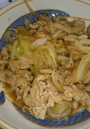簡単♪豚肉と玉ねぎの炒め物-レシピのメイン写真