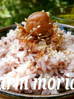 ねこまんまに梅干しON!梅おかかごはん-レシピのメイン写真