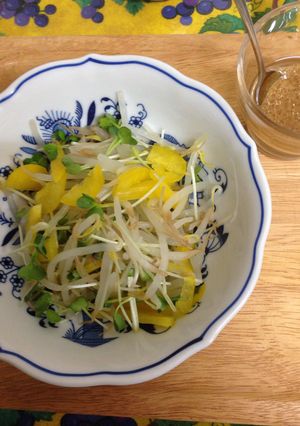 カイワレもやしのサラダ-レシピのメイン写真