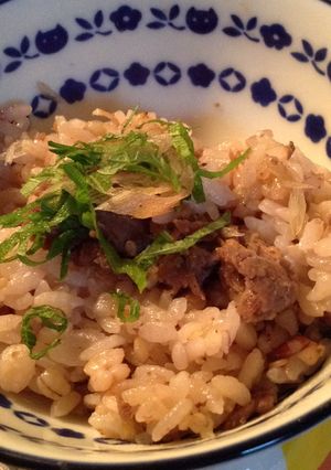 コストコのプルコギを使った炊き込みご飯-レシピのメイン写真
