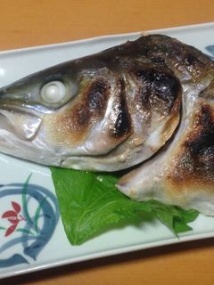 ツバスの塩焼き(カマ焼き)-レシピのメイン写真