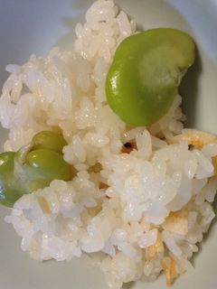 ◎ 空豆と桜えびの炊込みご飯-レシピのメイン写真
