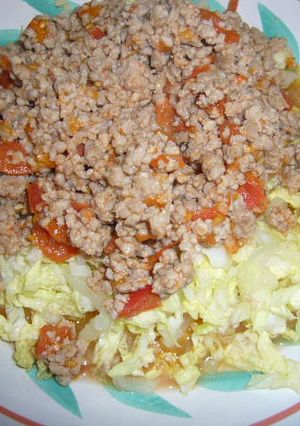 サッパリ★白菜のひき肉サラダ-レシピのメイン写真