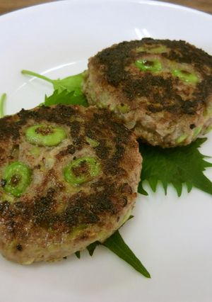農家さん直伝　八尾えだまめハンバーグ-レシピのメイン写真
