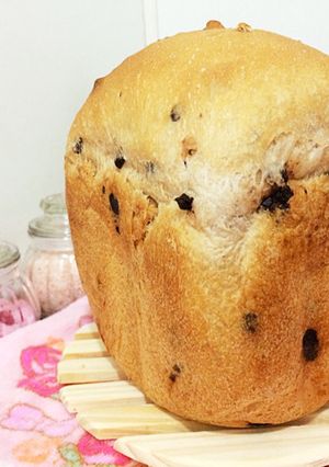 チョコくるみパン-レシピのメイン写真
