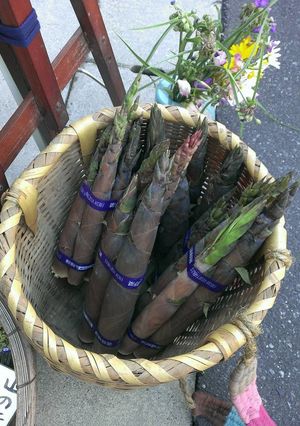 農家のお母さん直伝・破竹のゆで方と保存法-レシピのメイン写真