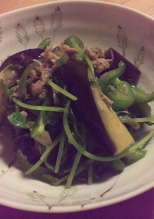 副菜に♪ナスとピーマンの豆苗ツナ炒め-レシピのメイン写真