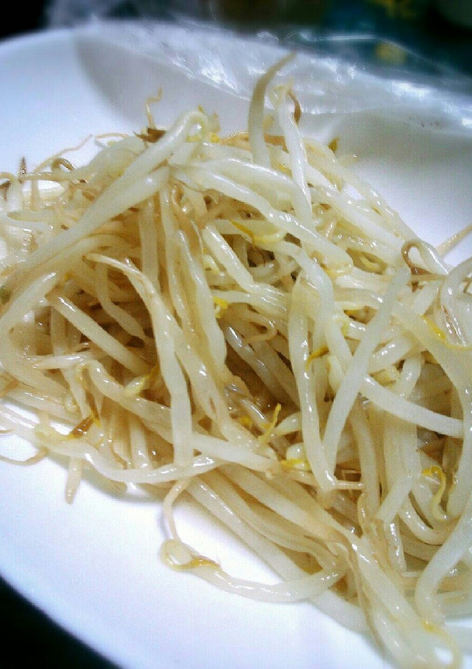 もやしだけで！簡単美味しいもやし炒め-レシピのメイン写真
