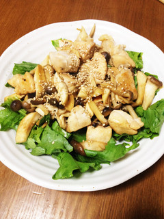 むね肉のバター醤油-レシピのメイン写真