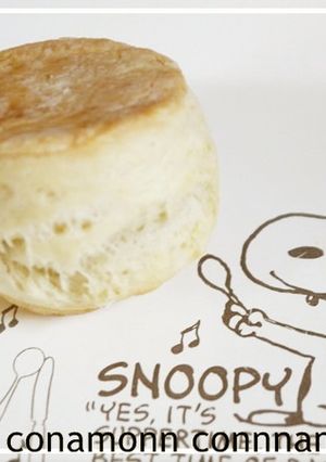 無香ココナッツオイルの＊ホットビスケット-レシピのメイン写真