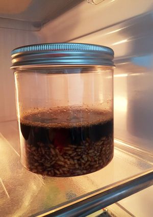 醤油麹(少量)-レシピのメイン写真