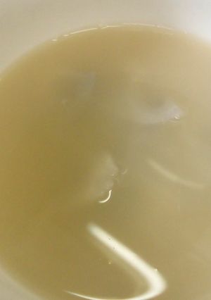 漢方医お勧め薬膳！蓮根猪骨髓湯-レシピのメイン写真