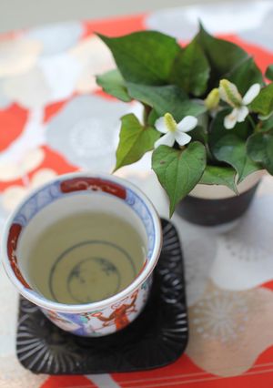 生の葉です～まろやかどくだみ茶-レシピのメイン写真