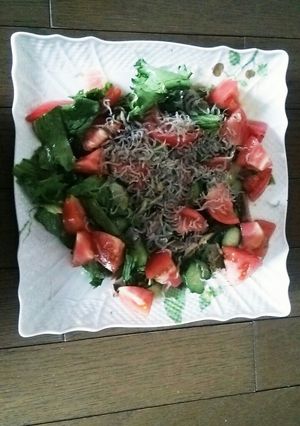 さんまサラダ-レシピのメイン写真