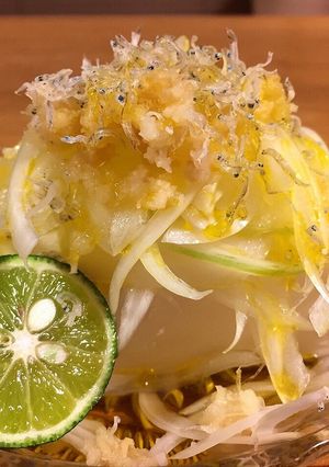 新玉ねぎのっけ冷ややっこ-レシピのメイン写真