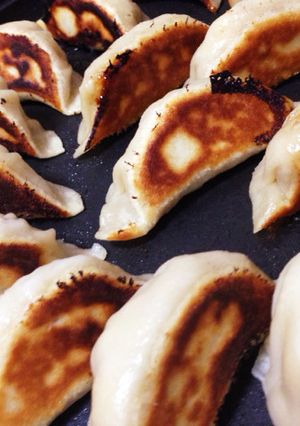 湯ごねがキモ！モッチモチ皮の餃子-レシピのメイン写真