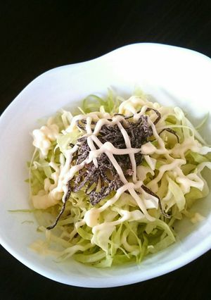 千切りキャベツに塩昆布マヨ♪-レシピのメイン写真