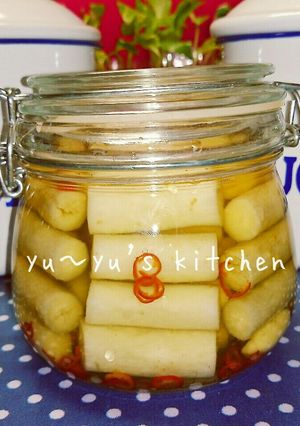 ごぼうピクルスで♡デトックス✧美味し〜♬-レシピのメイン写真