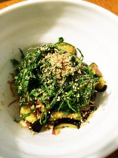 なすの香味おひたし-レシピのメイン写真