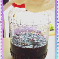 รูปของ 非加熱☆赤紫蘇酵素ジュース♪