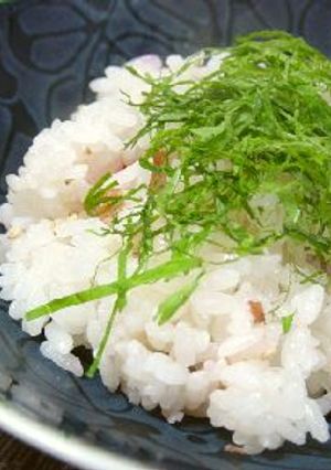 簡単すぎる・・・。梅と大葉ご飯！-レシピのメイン写真