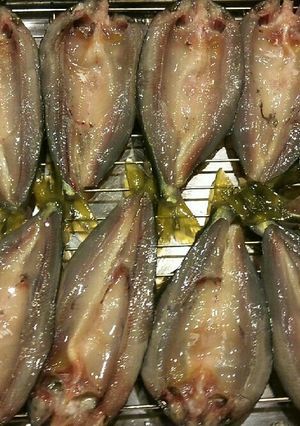 ☆鮎☆鯵☆魚を沢山貰ったら干物や燻製で保存食-レシピのメイン写真