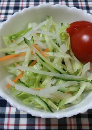 わが家の大根サラダ-レシピのメイン写真