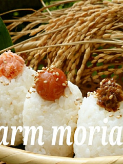 基本の三角にぎり❤おむすびつくろう♪-レシピのメイン写真