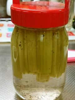 簡単ピクルス、ふきの酢漬け。-レシピのメイン写真