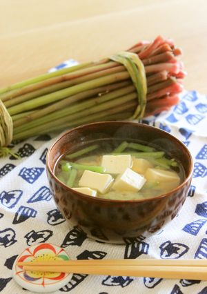 山菜みずの味噌汁-レシピのメイン写真