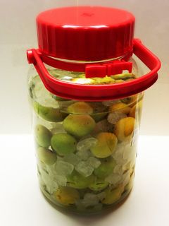 梅酒-レシピのメイン写真