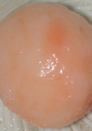 にんじん団子-レシピのメイン写真