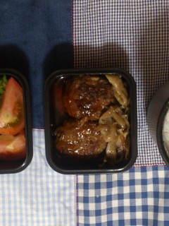 ごぼうハンバーグとゴーヤの高菜炒め弁当-レシピのメイン写真