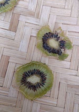 野菜干し不要！ドライフルーツ（キウイ）-レシピのメイン写真