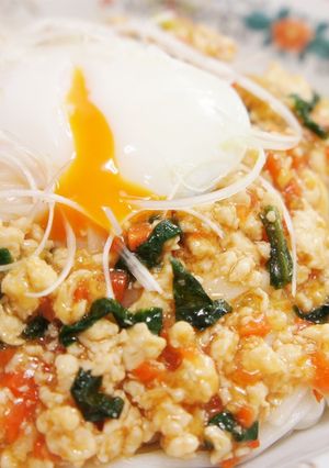 ヘルシー☆鶏むねひき肉のピリ辛稲庭うどん-レシピのメイン写真