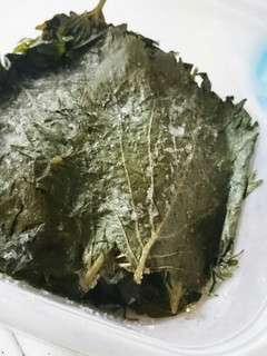 ざっくりレシピ!青じその塩漬け-レシピのメイン写真