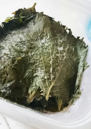 ざっくりレシピ！青じその塩漬け-レシピのメイン写真