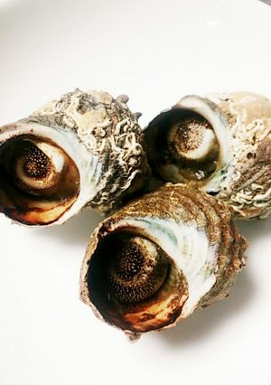 サザエ♪醤油バター♪-レシピのメイン写真