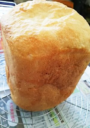 ふわふわ～ノンオイル蜂蜜ミルクパン-レシピのメイン写真