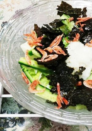 万能レモンとめんつゆの桜えびおろしサラダ-レシピのメイン写真