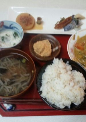 血管プラークダイエット345（モヤシ汁）-レシピのメイン写真