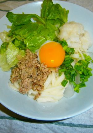 さっぱり！おろし肉そぼろうどん-レシピのメイン写真