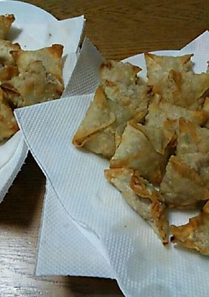 ワンタンの皮で揚げ餃子-レシピのメイン写真