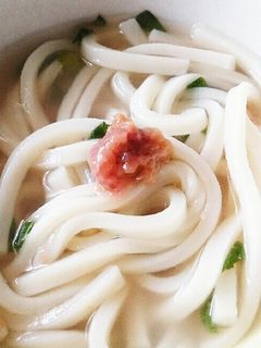 白湯梅しそうどん-レシピのメイン写真